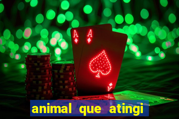 animal que atingi 230 decibeis